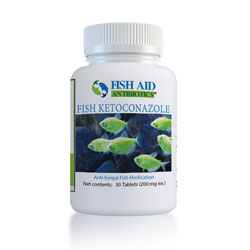 fish ketoconazole tablets
