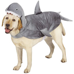 Casual Canine Shark Costume