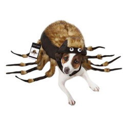 Fuzzy Tarantula Dog Costume