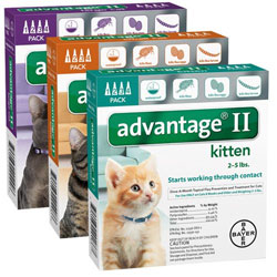 Advantage II for Cats