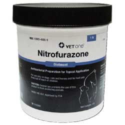 itraconazole use in dogs