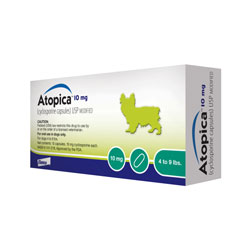 Atopica for Dogs