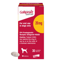 Galliprant (grapiprant tablets) for Dogs