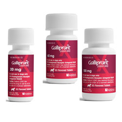 galliprant tablets