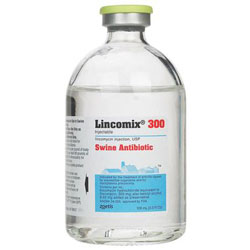 Lincomix 300 (Lincomycin) Injectable Swine Antibiotic
