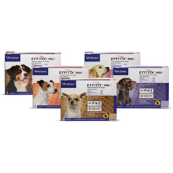 Effitix Plus for Dogs