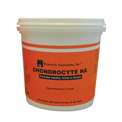 Chondrocyte HA Powder for Horses