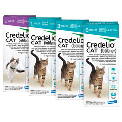 Credelio (Iotilaner) for Cats