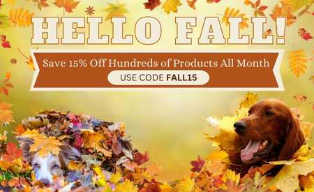 Hello Fall!