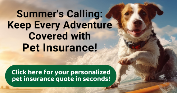 Pet Insurance