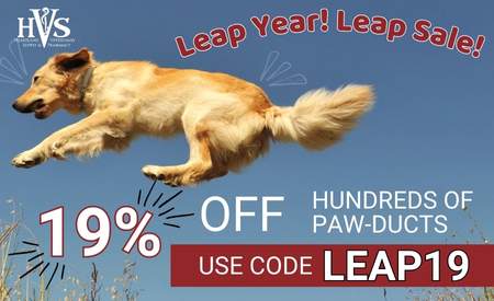 Leap Day Sale!