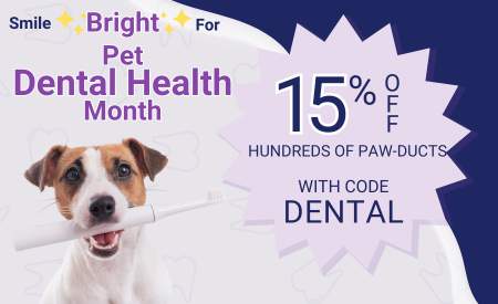 Pet Dental Health Month!