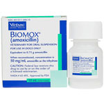 Biomox Amoxicillin DROPS