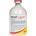 Naxcel Antibiotic