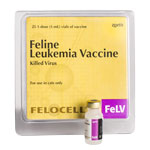 Felocell FeLV