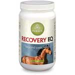 Recovery EQ