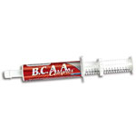 BCAA Complex Paste