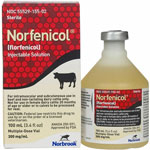 Norfenicol Injectable Solution