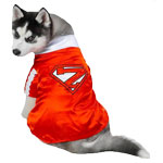 Casual Canine Mighty Mutt Pet Costume