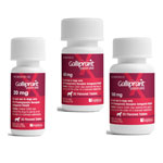 Galliprant (grapiprant tablets) for Dogs