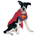 Superman Dog Costume