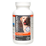 Cosequin DS Plus MSM & HA for Dogs
