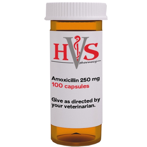 Amoxicillin price for 30 capsules