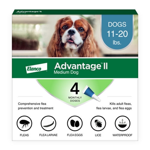 Dog flea repellent outlet