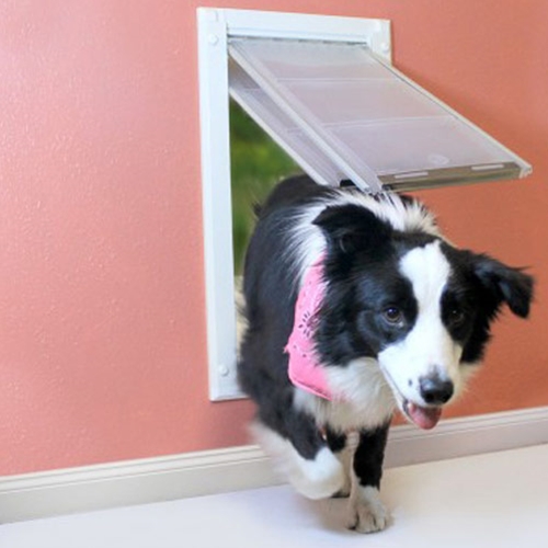 Endura Flap Wall Mount Heartlandvetsupply Com