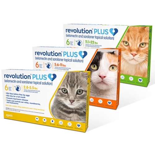 revolution plus flea treatment