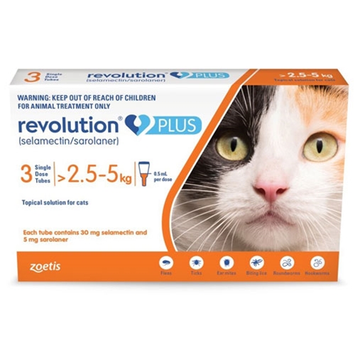 revolution plus flea treatment for cats