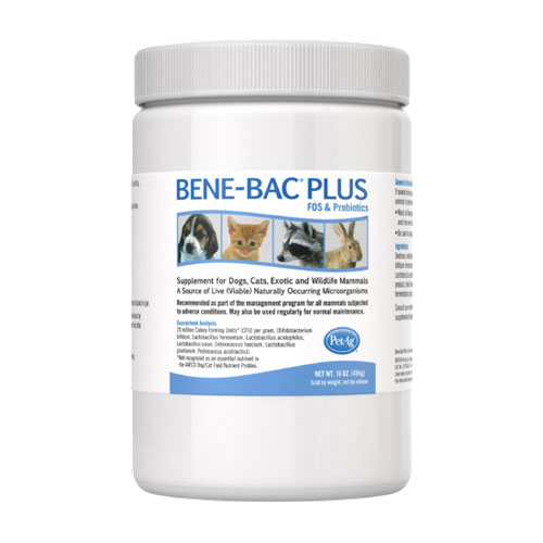 PetAg Bene-Bac Plus FOS & Probiotics Powder - 16 oz