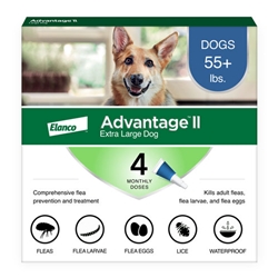 Monthly flea treatment for dogs 2025